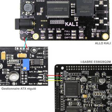 I-Sabre verkabelung mit Allo Kali und Power Management Modul